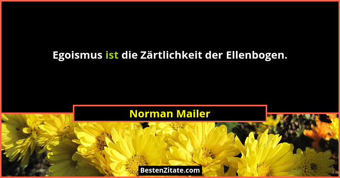 Egoismus ist die Zärtlichkeit der Ellenbogen.... - Norman Mailer