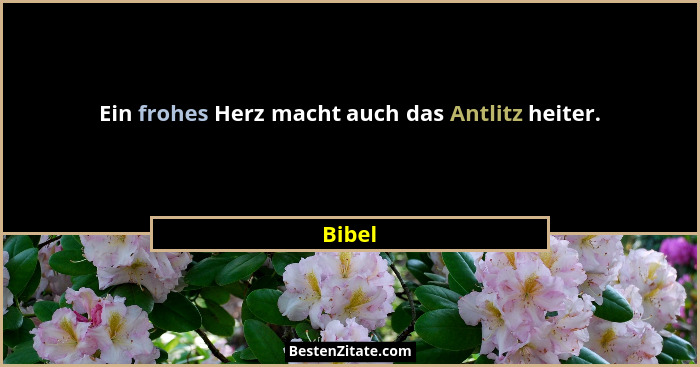 Ein frohes Herz macht auch das Antlitz heiter.... - Bibel