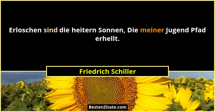 Erloschen sind die heitern Sonnen, Die meiner Jugend Pfad erhellt.... - Friedrich Schiller