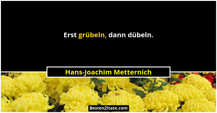 Erst grübeln, dann dübeln.... - Hans-Joachim Metternich