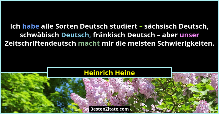 Ich habe alle Sorten Deutsch studiert – sächsisch Deutsch, schwäbisch Deutsch, fränkisch Deutsch – aber unser Zeitschriftendeutsch ma... - Heinrich Heine
