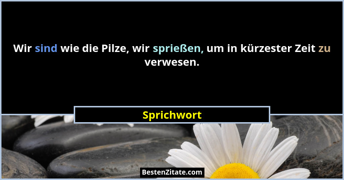 Wir sind wie die Pilze, wir sprießen, um in kürzester Zeit zu verwesen.... - Sprichwort