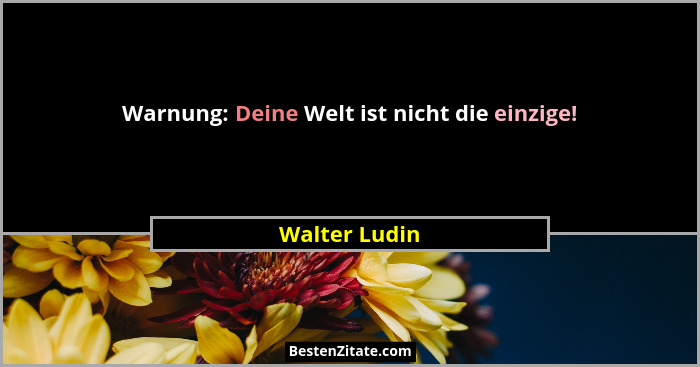 Warnung: Deine Welt ist nicht die einzige!... - Walter Ludin
