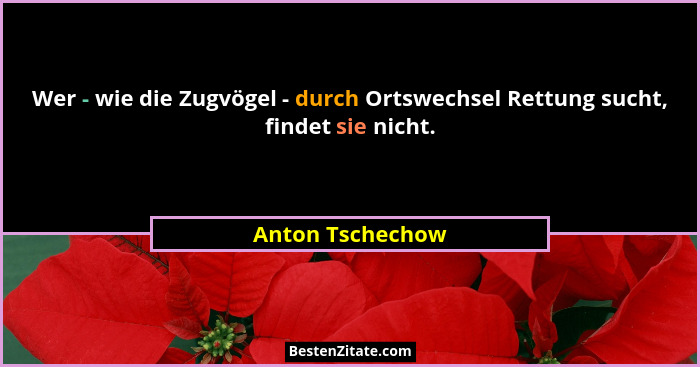 Wer - wie die Zugvögel - durch Ortswechsel Rettung sucht, findet sie nicht.... - Anton Tschechow