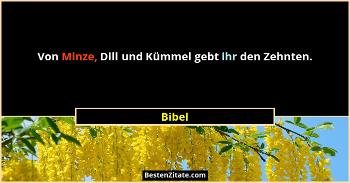Von Minze, Dill und Kümmel gebt ihr den Zehnten.... - Bibel