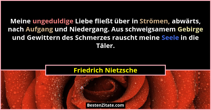 Meine ungeduldige Liebe fließt über in Strömen, abwärts, nach Aufgang und Niedergang. Aus schweigsamem Gebirge und Gewittern des... - Friedrich Nietzsche