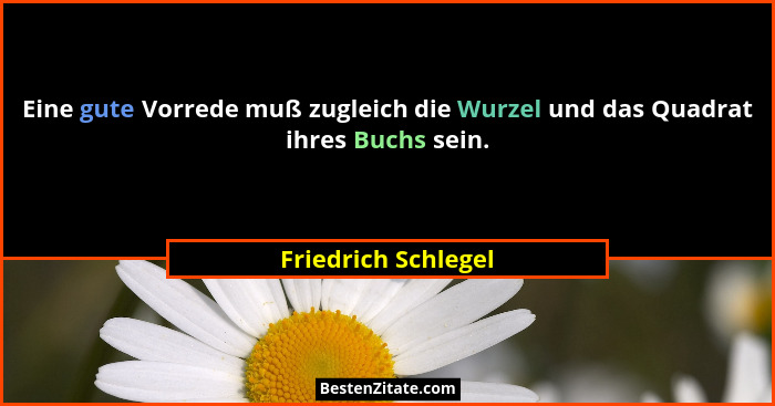 Eine gute Vorrede muß zugleich die Wurzel und das Quadrat ihres Buchs sein.... - Friedrich Schlegel