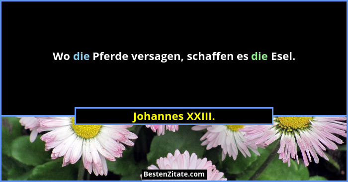 Wo die Pferde versagen, schaffen es die Esel.... - Johannes XXIII.