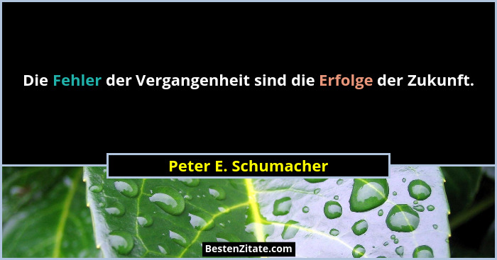 Die Fehler der Vergangenheit sind die Erfolge der Zukunft.... - Peter E. Schumacher