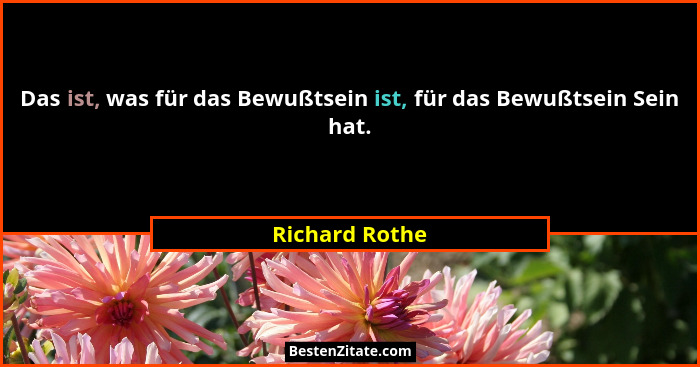 Das ist, was für das Bewußtsein ist, für das Bewußtsein Sein hat.... - Richard Rothe
