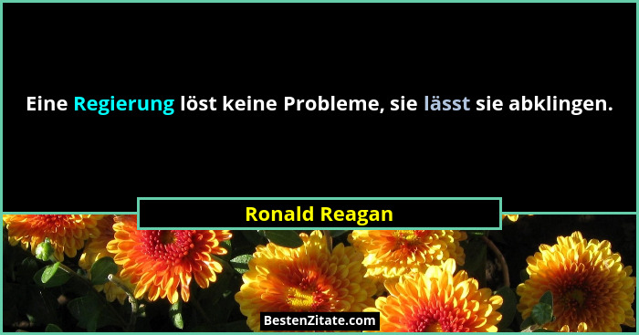 Eine Regierung löst keine Probleme, sie lässt sie abklingen.... - Ronald Reagan