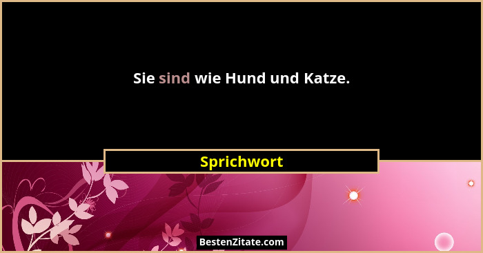 Sie sind wie Hund und Katze.... - Sprichwort