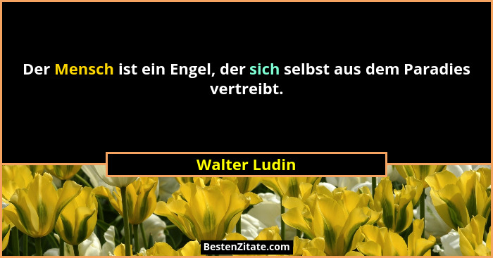 Der Mensch ist ein Engel, der sich selbst aus dem Paradies vertreibt.... - Walter Ludin