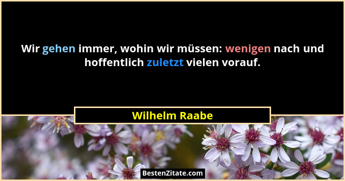 Wir gehen immer, wohin wir müssen: wenigen nach und hoffentlich zuletzt vielen vorauf.... - Wilhelm Raabe
