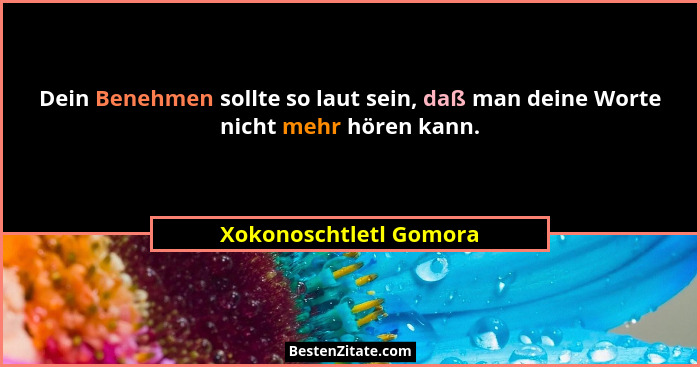 Dein Benehmen sollte so laut sein, daß man deine Worte nicht mehr hören kann.... - Xokonoschtletl Gomora