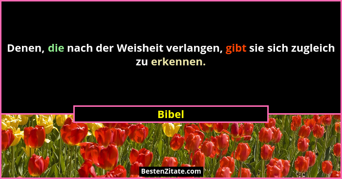 Denen, die nach der Weisheit verlangen, gibt sie sich zugleich zu erkennen.... - Bibel