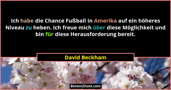 Ich habe die Chance Fußball in Amerika auf ein höheres Niveau zu heben. Ich freue mich über diese Möglichkeit und bin für diese Heraus... - David Beckham