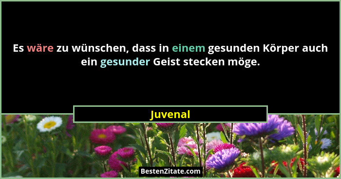 Es wäre zu wünschen, dass in einem gesunden Körper auch ein gesunder Geist stecken möge.... - Juvenal