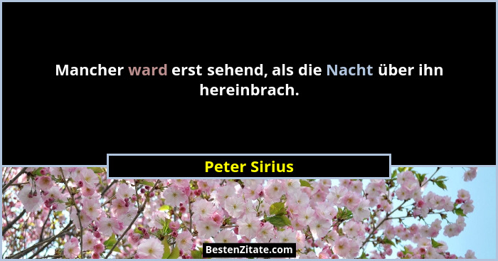 Mancher ward erst sehend, als die Nacht über ihn hereinbrach.... - Peter Sirius