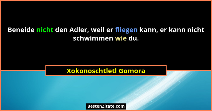 Beneide nicht den Adler, weil er fliegen kann, er kann nicht schwimmen wie du.... - Xokonoschtletl Gomora