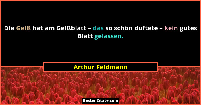Die Geiß hat am Geißblatt – das so schön duftete – kein gutes Blatt gelassen.... - Arthur Feldmann