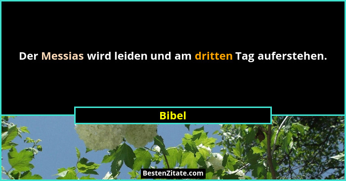 Der Messias wird leiden und am dritten Tag auferstehen.... - Bibel