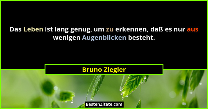 Das Leben ist lang genug, um zu erkennen, daß es nur aus wenigen Augenblicken besteht.... - Bruno Ziegler