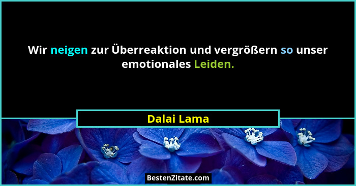 Wir neigen zur Überreaktion und vergrößern so unser emotionales Leiden.... - Dalai Lama