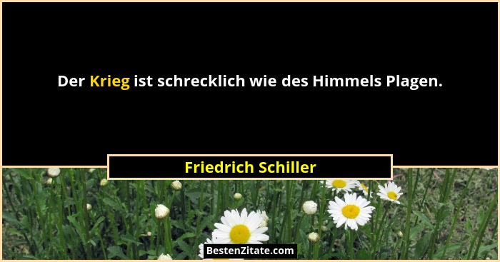 Der Krieg ist schrecklich wie des Himmels Plagen.... - Friedrich Schiller
