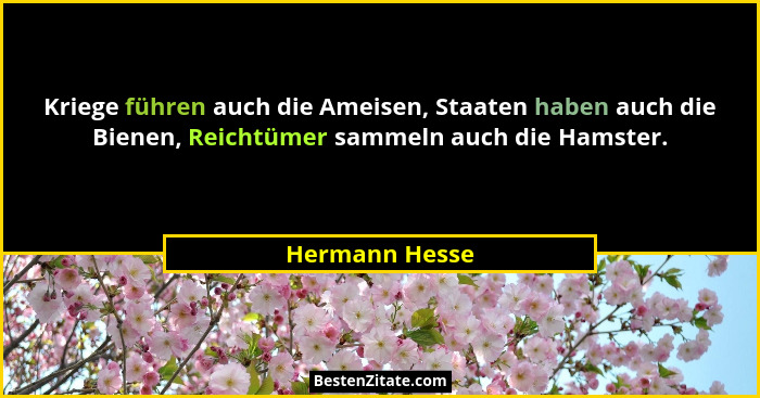 Kriege führen auch die Ameisen, Staaten haben auch die Bienen, Reichtümer sammeln auch die Hamster.... - Hermann Hesse