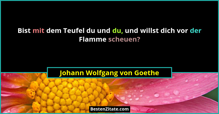 Bist mit dem Teufel du und du, und willst dich vor der Flamme scheuen?... - Johann Wolfgang von Goethe