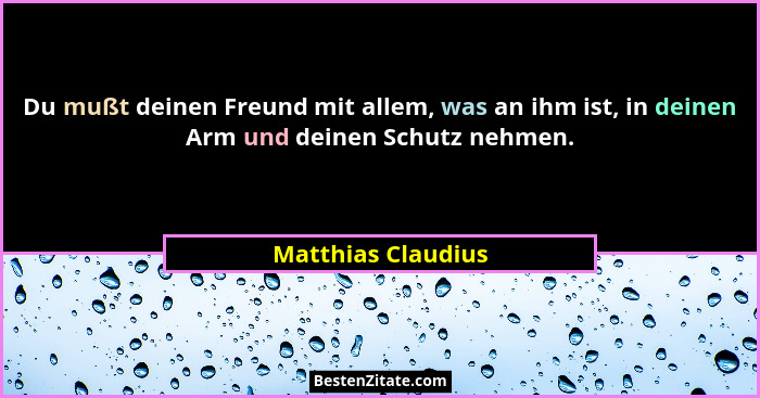 Du mußt deinen Freund mit allem, was an ihm ist, in deinen Arm und deinen Schutz nehmen.... - Matthias Claudius