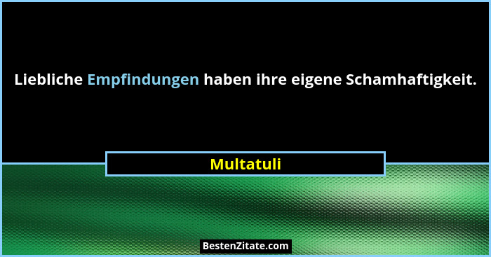 Liebliche Empfindungen haben ihre eigene Schamhaftigkeit.... - Multatuli