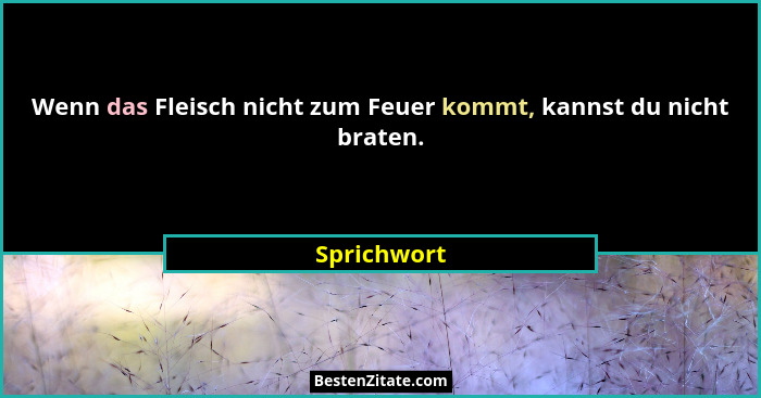 Wenn das Fleisch nicht zum Feuer kommt, kannst du nicht braten.... - Sprichwort
