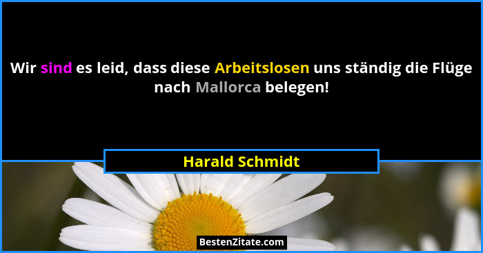 Wir sind es leid, dass diese Arbeitslosen uns ständig die Flüge nach Mallorca belegen!... - Harald Schmidt