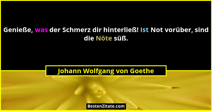 Genieße, was der Schmerz dir hinterließ! Ist Not vorüber, sind die Nöte süß.... - Johann Wolfgang von Goethe