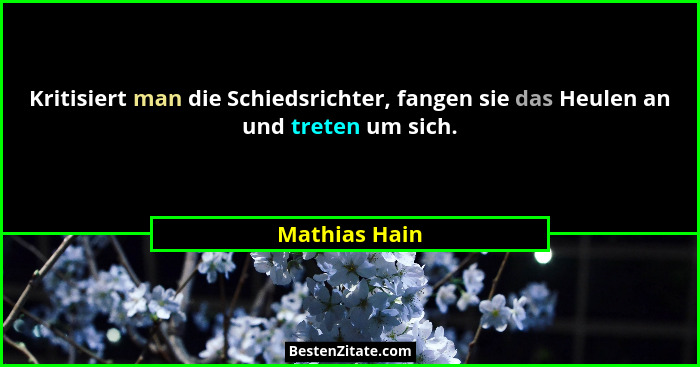 Kritisiert man die Schiedsrichter, fangen sie das Heulen an und treten um sich.... - Mathias Hain