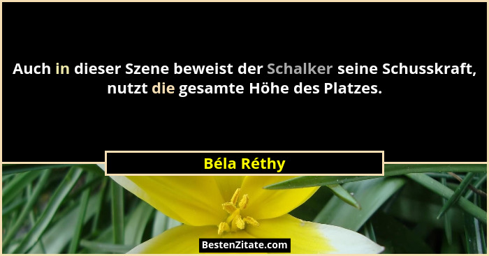 Auch in dieser Szene beweist der Schalker seine Schusskraft, nutzt die gesamte Höhe des Platzes.... - Béla Réthy