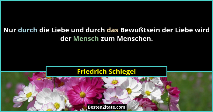 Nur durch die Liebe und durch das Bewußtsein der Liebe wird der Mensch zum Menschen.... - Friedrich Schlegel