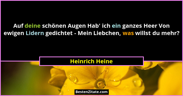 Auf deine schönen Augen Hab' ich ein ganzes Heer Von ewigen Lidern gedichtet - Mein Liebchen, was willst du mehr?... - Heinrich Heine