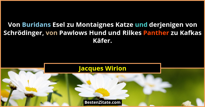Von Buridans Esel zu Montaignes Katze und derjenigen von Schrödinger, von Pawlows Hund und Rilkes Panther zu Kafkas Käfer.... - Jacques Wirion