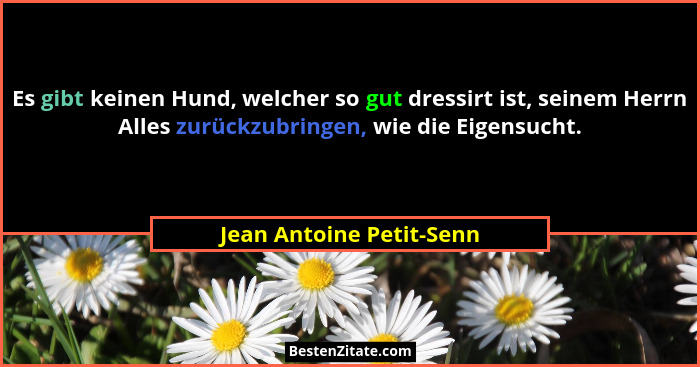 Es gibt keinen Hund, welcher so gut dressirt ist, seinem Herrn Alles zurückzubringen, wie die Eigensucht.... - Jean Antoine Petit-Senn