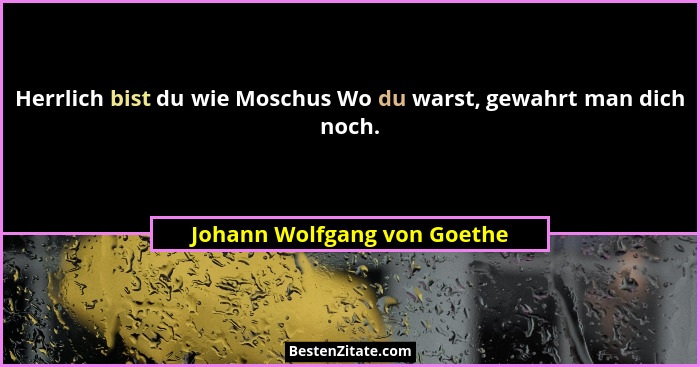 Herrlich bist du wie Moschus Wo du warst, gewahrt man dich noch.... - Johann Wolfgang von Goethe