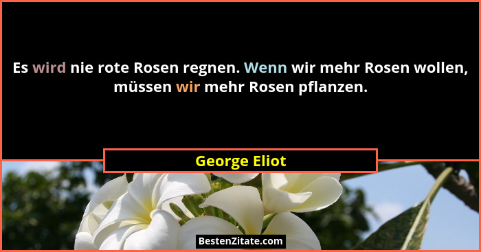 Es wird nie rote Rosen regnen. Wenn wir mehr Rosen wollen, müssen wir mehr Rosen pflanzen.... - George Eliot