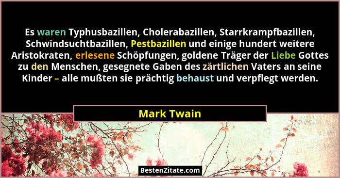Es waren Typhusbazillen, Cholerabazillen, Starrkrampfbazillen, Schwindsuchtbazillen, Pestbazillen und einige hundert weitere Aristokraten... - Mark Twain