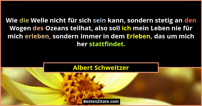 Wie die Welle nicht für sich sein kann, sondern stetig an den Wogen des Ozeans teilhat, also soll ich mein Leben nie für mich erle... - Albert Schweitzer