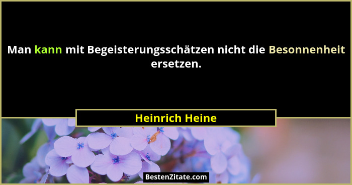 Man kann mit Begeisterungsschätzen nicht die Besonnenheit ersetzen.... - Heinrich Heine