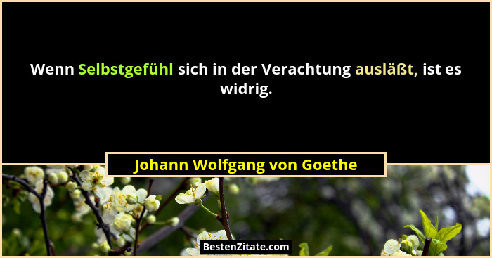 Wenn Selbstgefühl sich in der Verachtung ausläßt, ist es widrig.... - Johann Wolfgang von Goethe