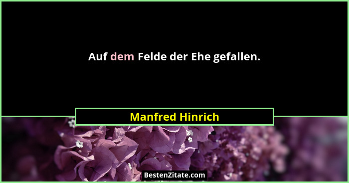 Auf dem Felde der Ehe gefallen.... - Manfred Hinrich