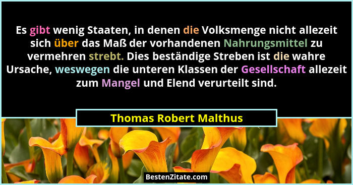 Es gibt wenig Staaten, in denen die Volksmenge nicht allezeit sich über das Maß der vorhandenen Nahrungsmittel zu vermehren st... - Thomas Robert Malthus